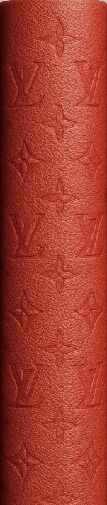 LV Embossed Leather Print Out
