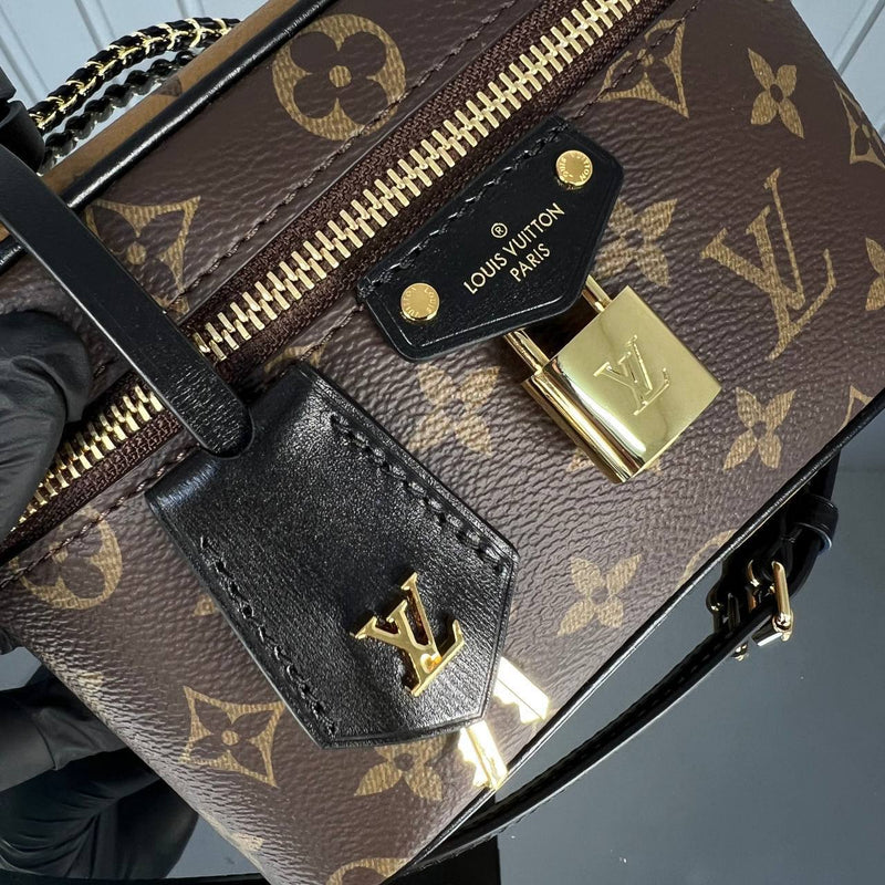 Louis Vuitton Vanity Chain Pouch