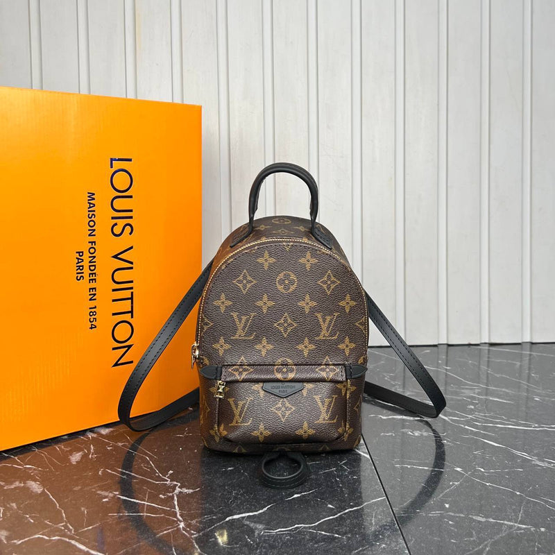 Louis Vuitton Palm Springs Backpack Mini