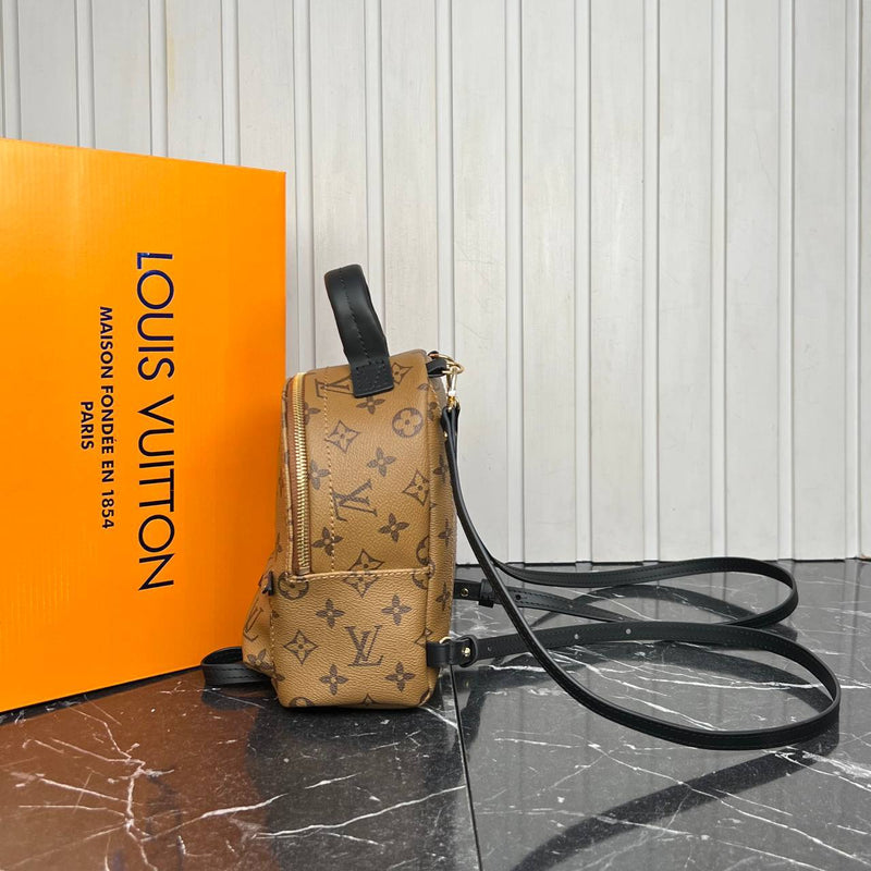 Louis Vuitton Palm Springs Backpack Mini