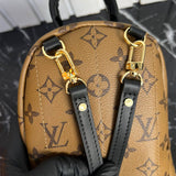 Louis Vuitton Palm Springs Backpack Mini