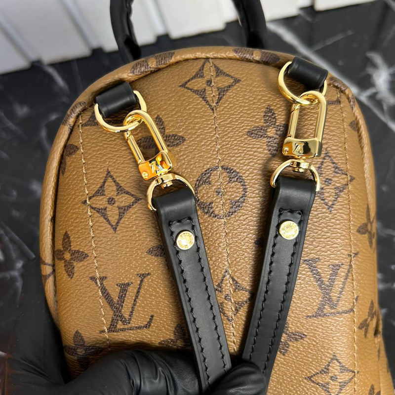 Louis Vuitton Palm Springs Backpack Mini
