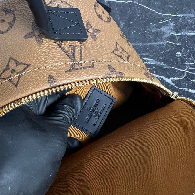 Louis Vuitton Palm Springs Backpack Mini
