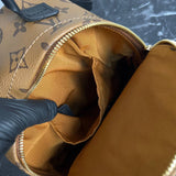 Louis Vuitton Palm Springs Backpack Mini