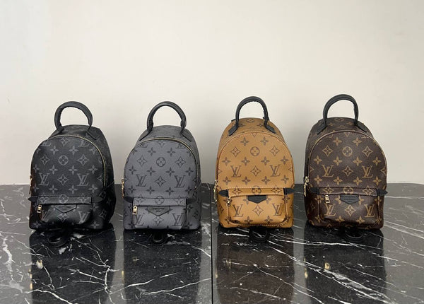 Louis Vuitton Palm Springs Backpack Mini