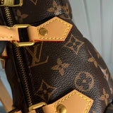 Louis Vuitton Pooch Bag