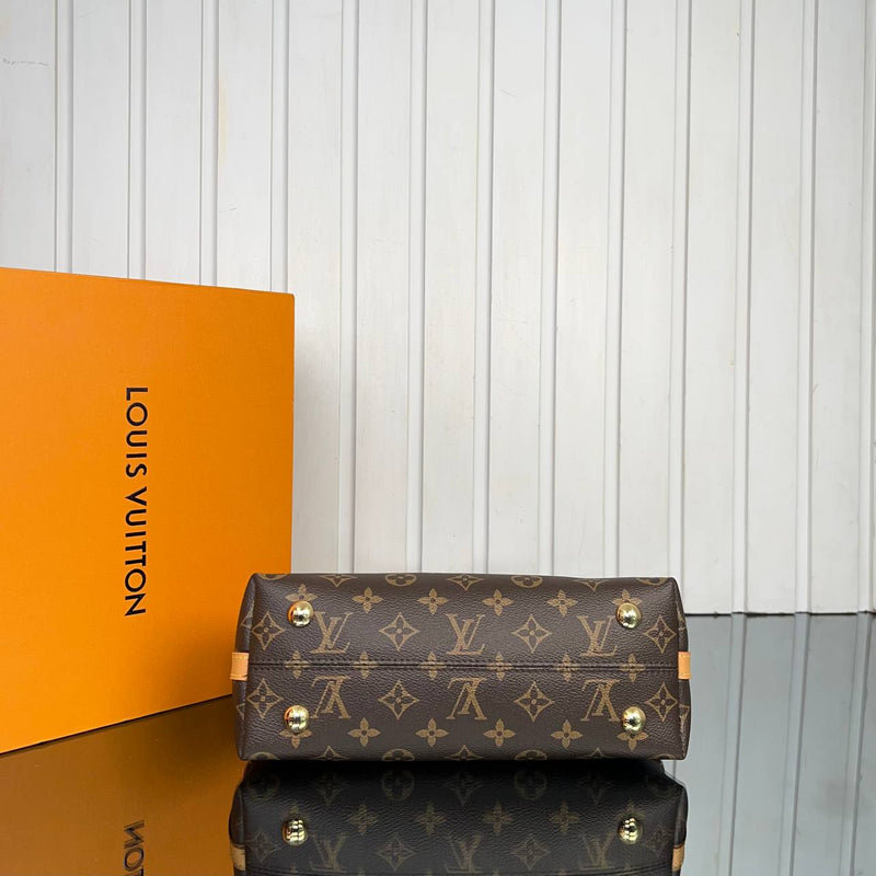 Louis Vuitton CarryAll BB