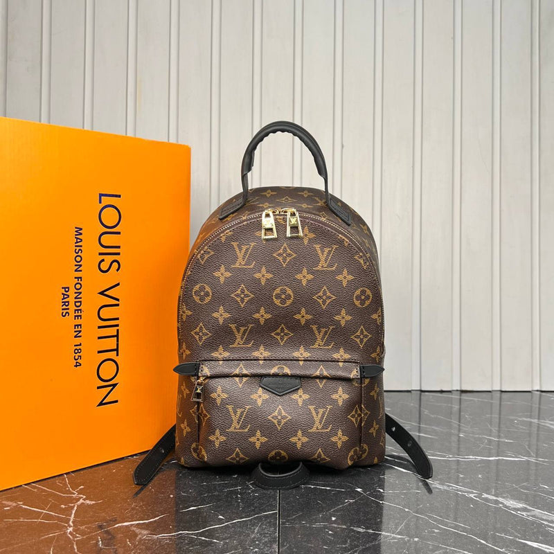 Louis Vuitton Palm Springs Backpack Medium