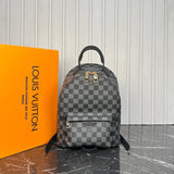 Louis Vuitton Palm Springs Backpack Medium