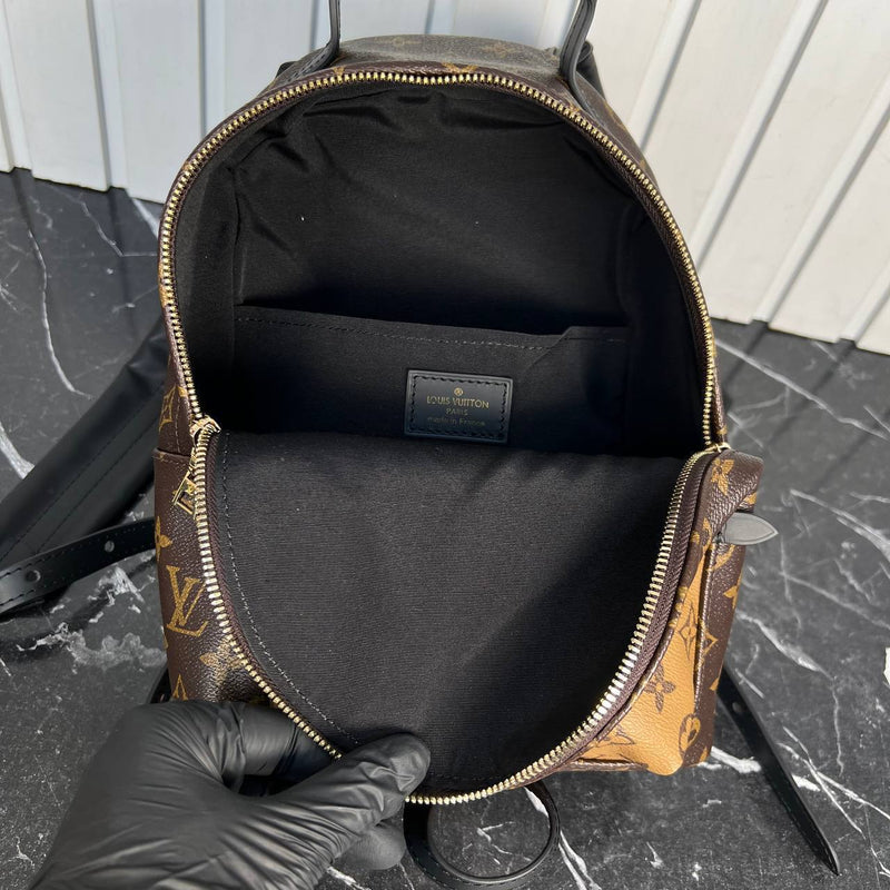 Louis Vuitton Palm Springs Backpack Medium