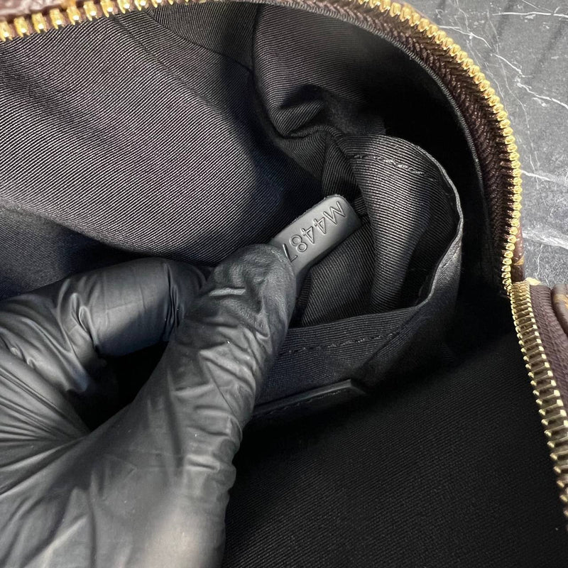 Louis Vuitton Palm Springs Backpack Medium