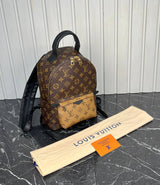 Louis Vuitton Palm Springs Backpack Medium