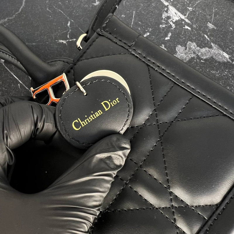 Christian Dior Mini Book Tote Bag