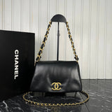 Chanel Medium Flap Bag with Chain