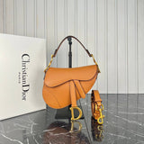 Christian Dior Saddle Mini Bag