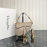 Christian Dior Saddle Mini Bag