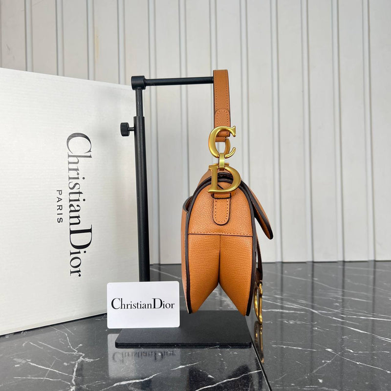 Christian Dior Saddle Mini Bag