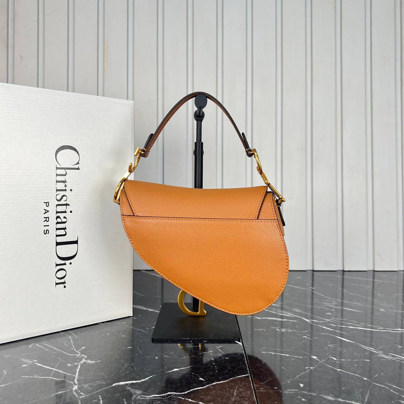 Christian Dior Saddle Mini Bag