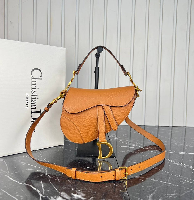 Christian Dior Saddle Mini Bag