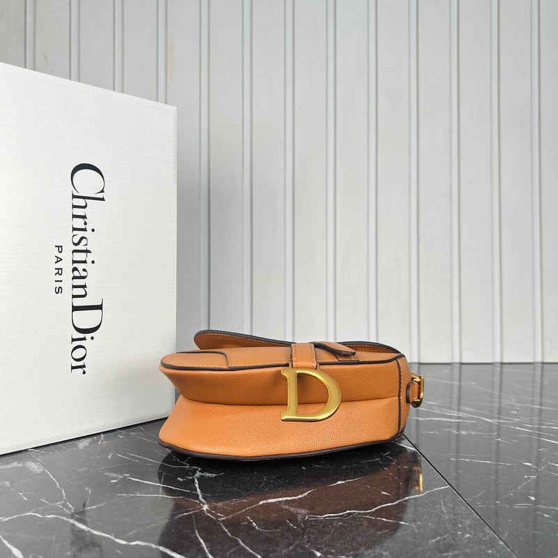 Christian Dior Saddle Mini Bag