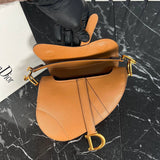 Christian Dior Saddle Mini Bag