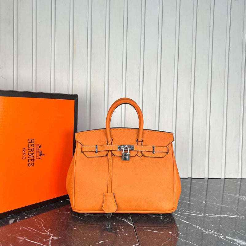 Hermes Birkin Bag 25 cm